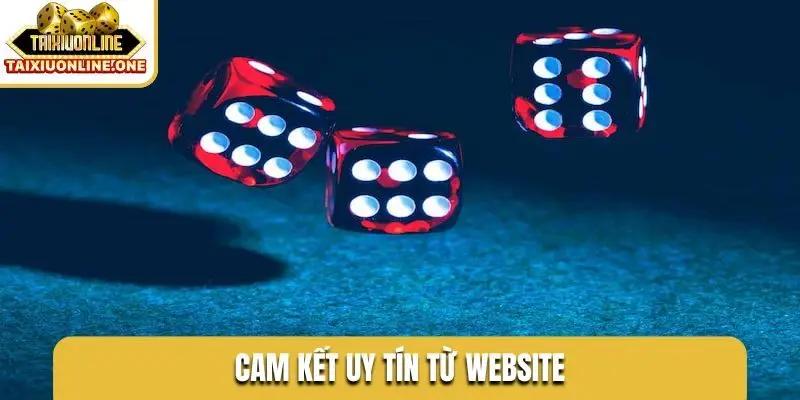 Cam kết uy tín từ website