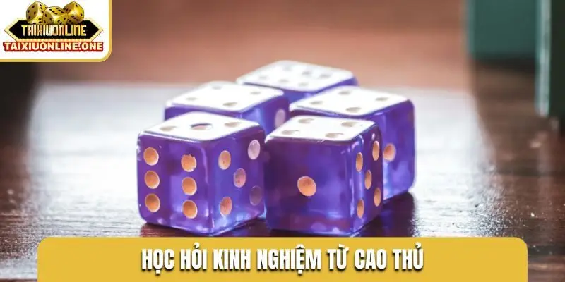 Học hỏi kinh nghiệm từ cao thủ