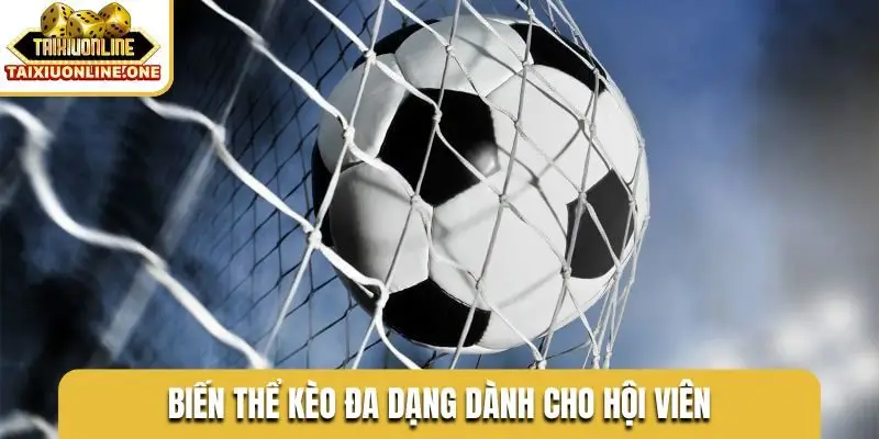 Biến thể kèo đa dạng dành cho hội viên