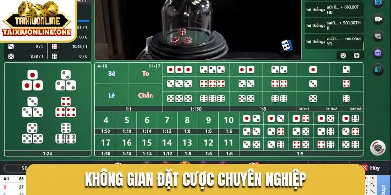 Không gian đặt cược chuyên nghiệp