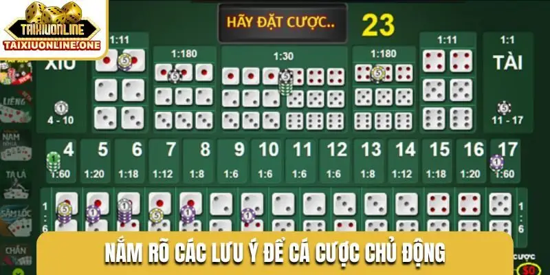 Nắm rõ các lưu ý để cá cược chủ động